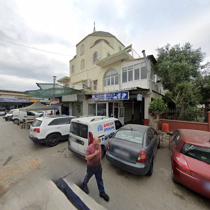 Fotoğraf 3