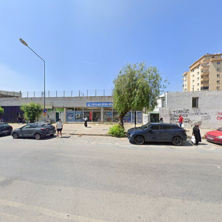 Fotoğraf 8