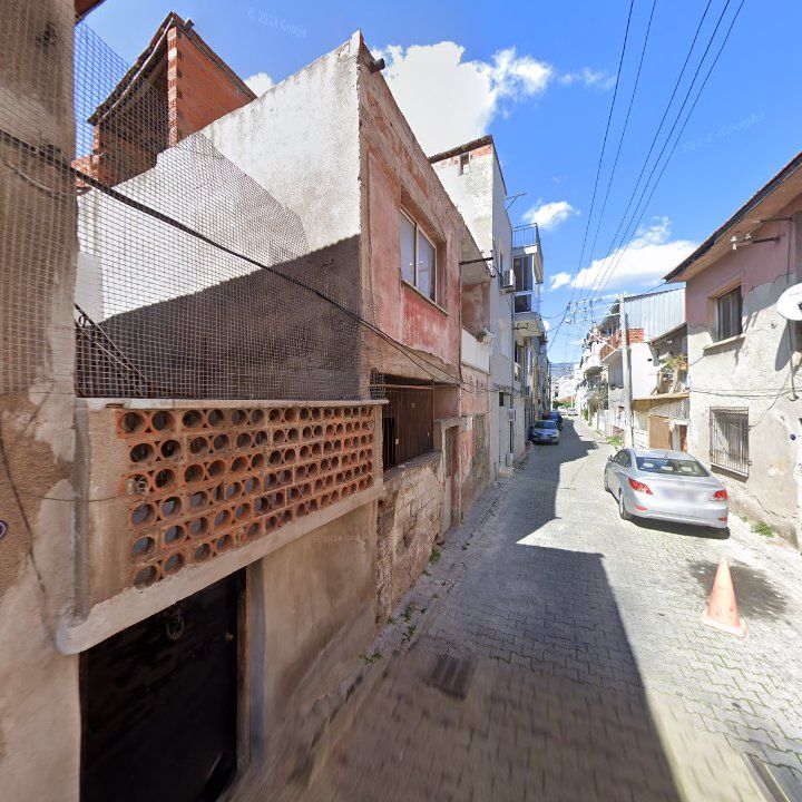 Fotoğraf 7