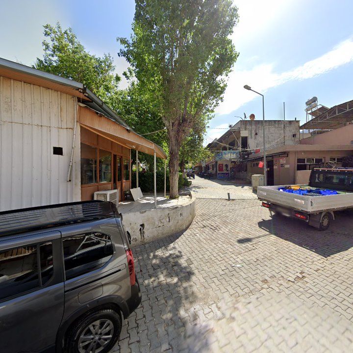 Fotoğraf 2