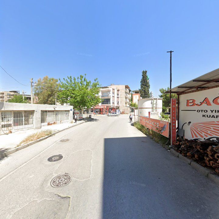 Fotoğraf 8