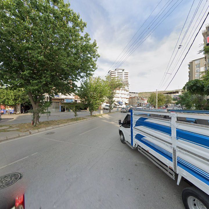 Fotoğraf 10