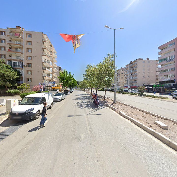 Fotoğraf 8