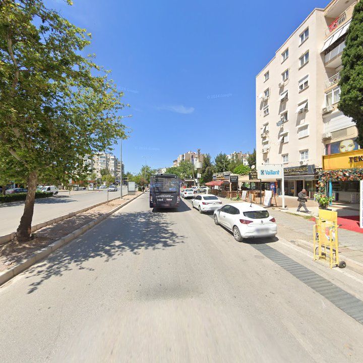 Fotoğraf 10