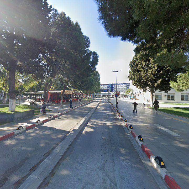 Fotoğraf 7