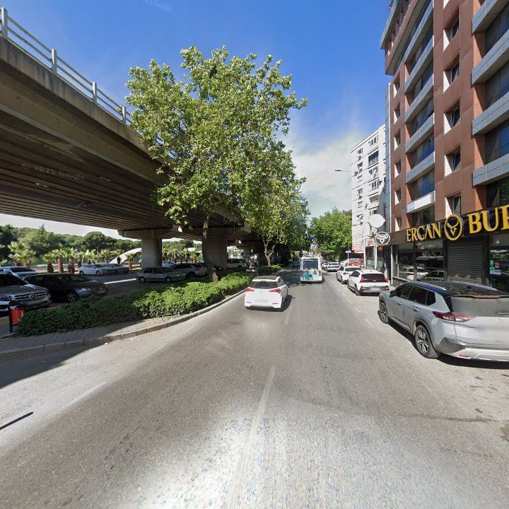 Fotoğraf 11