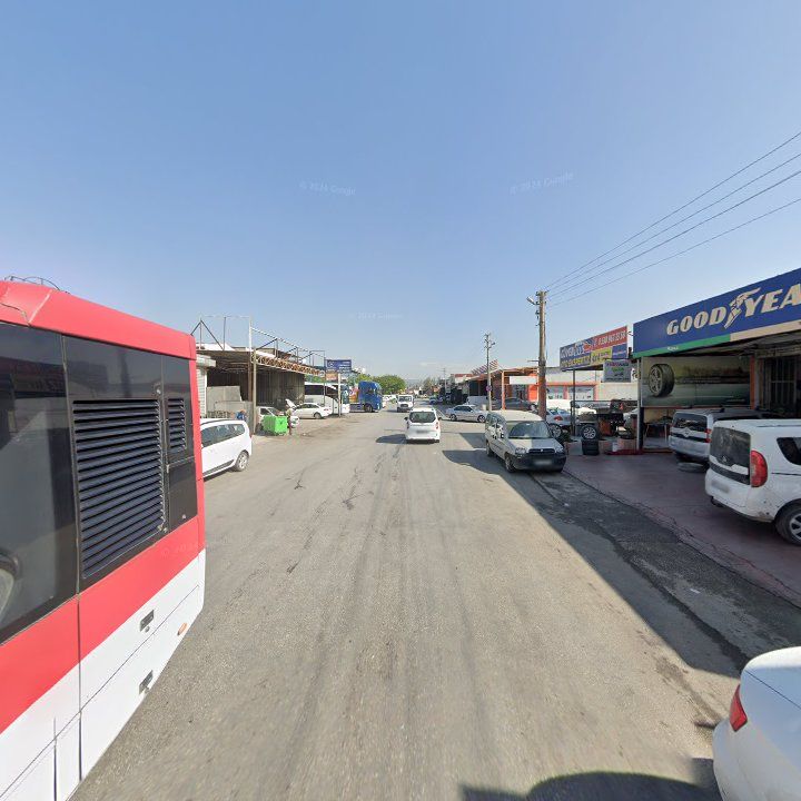 Fotoğraf 7