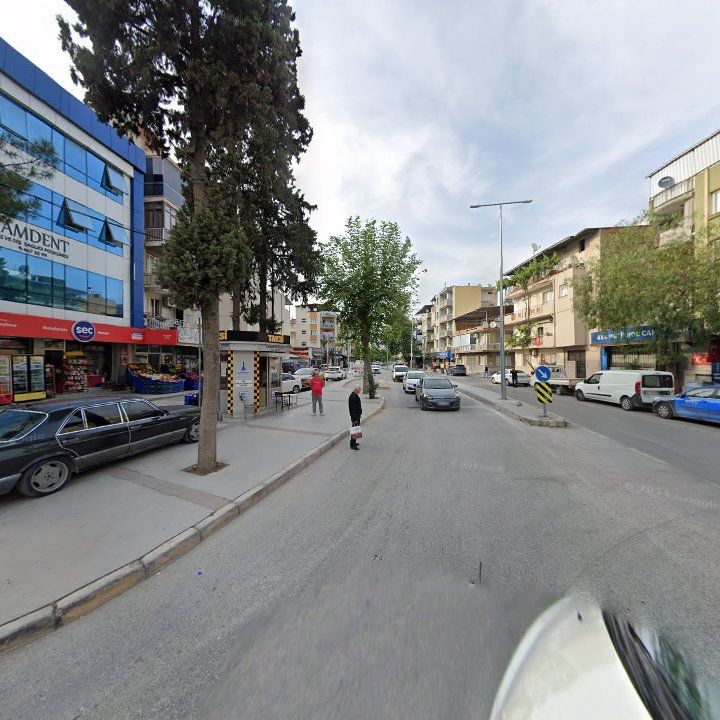 Fotoğraf 4