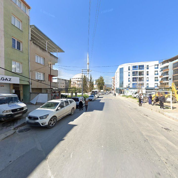 Fotoğraf 5