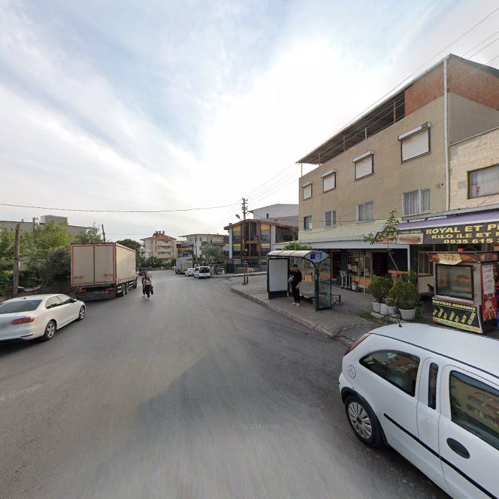 Fotoğraf 7