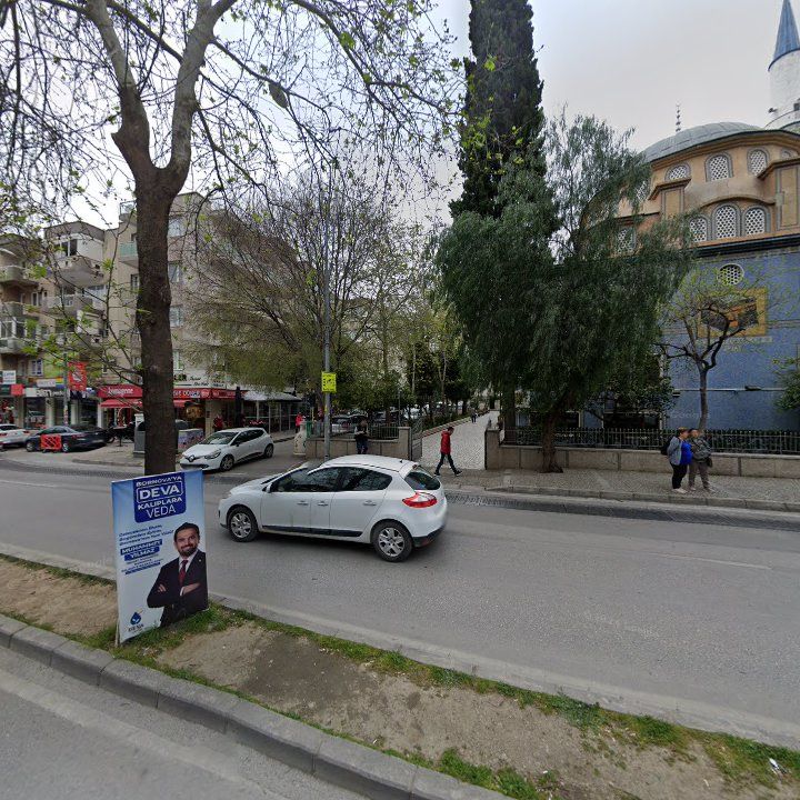 Fotoğraf 14