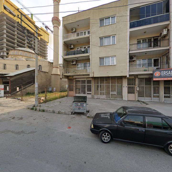 Fotoğraf 11