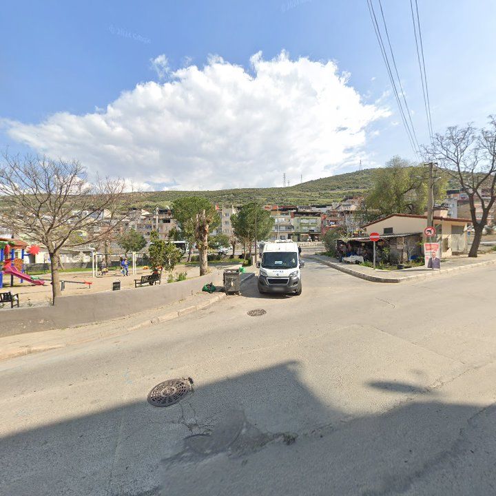 Fotoğraf 8