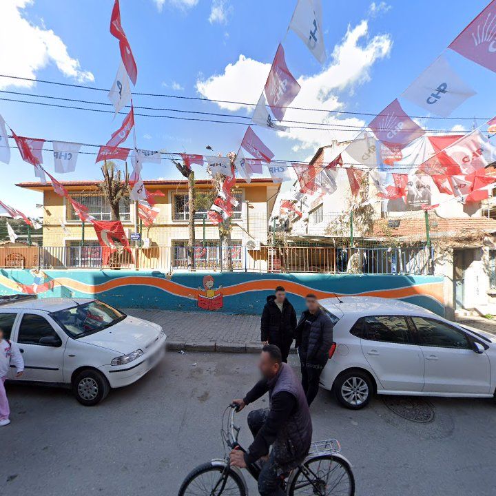 Fotoğraf 10