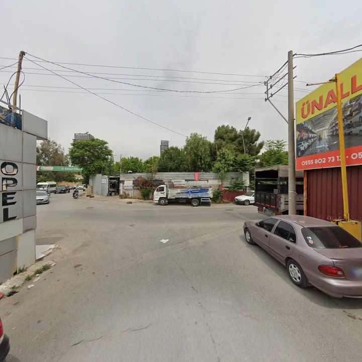 Fotoğraf 7