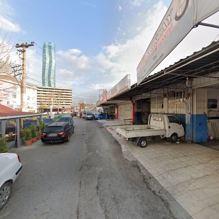 Fotoğraf 6