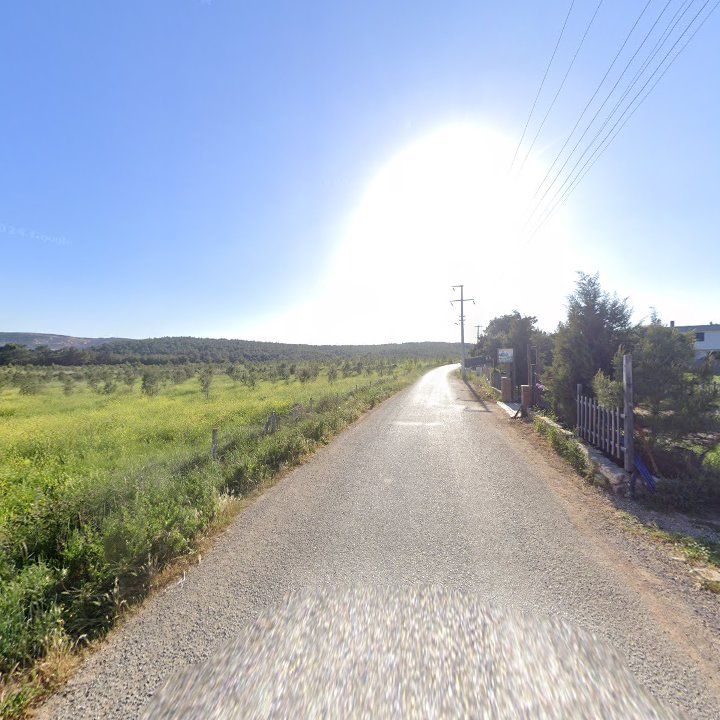 Fotoğraf 9