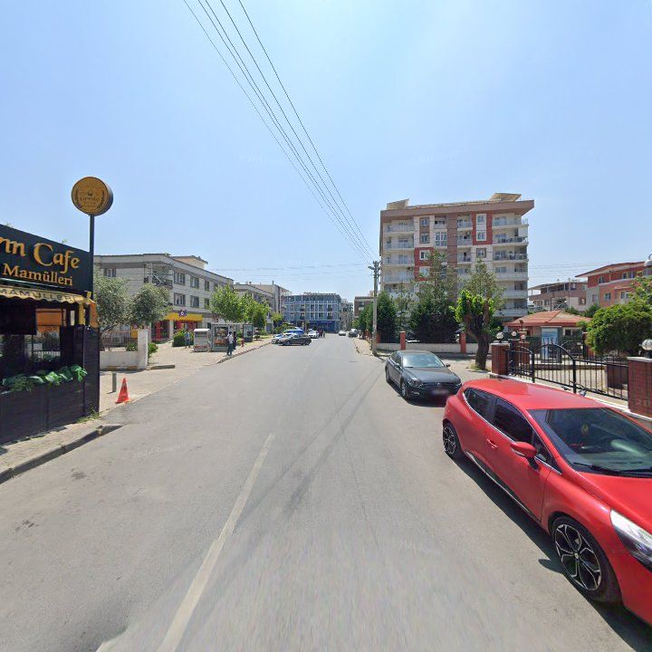 Fotoğraf 9