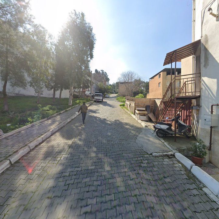 Fotoğraf 10