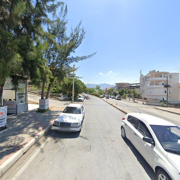 Fotoğraf 11