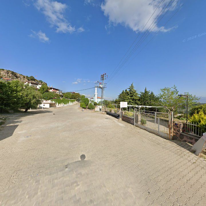 Fotoğraf 7