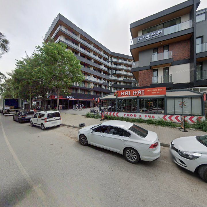 Fotoğraf 9