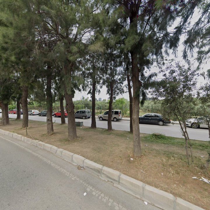 Fotoğraf 11