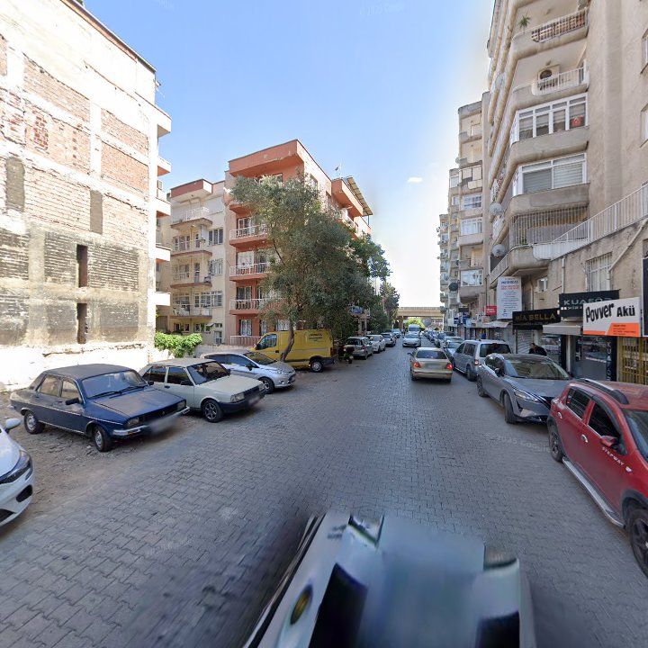 Fotoğraf 9