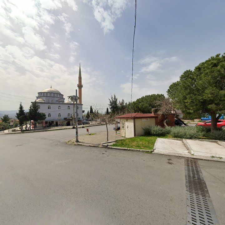 Fotoğraf 3