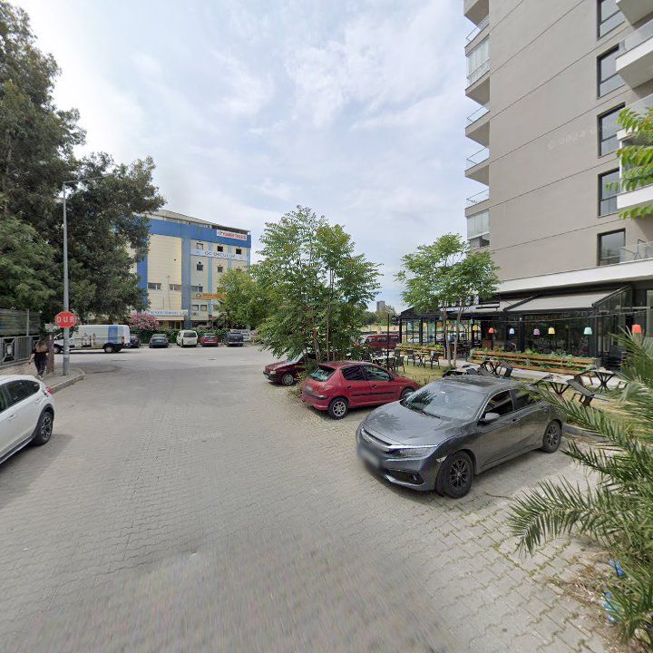 Fotoğraf 11