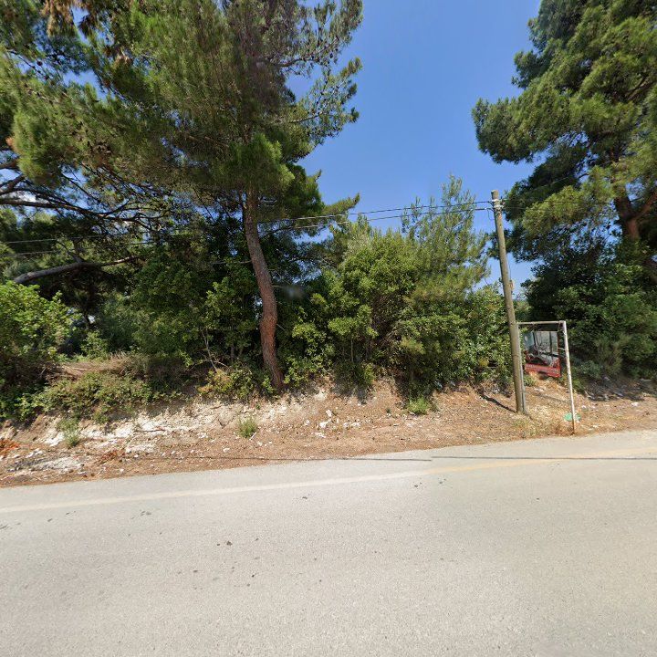 Fotoğraf 12