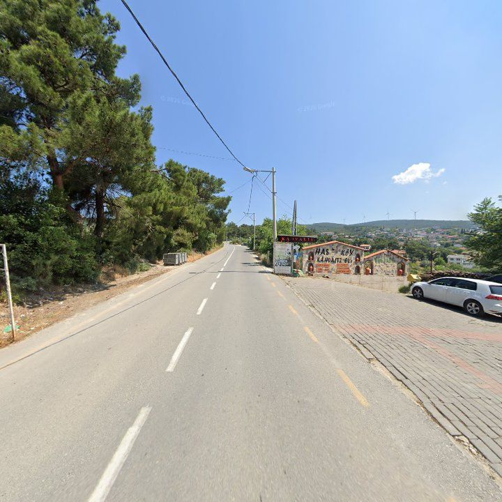 Fotoğraf 13