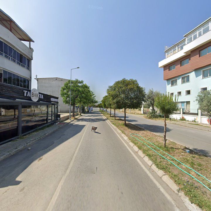 Fotoğraf 3