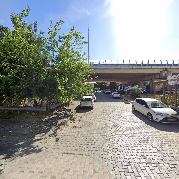 Fotoğraf 6