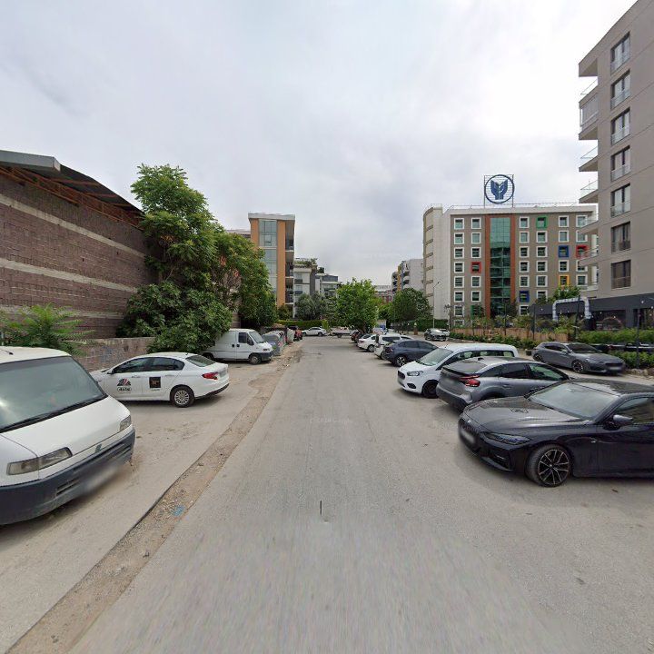 Fotoğraf 10