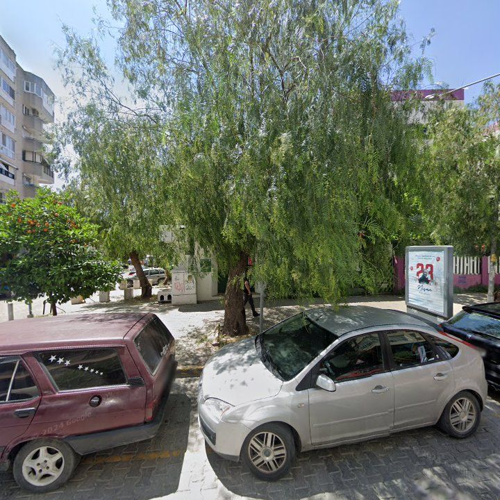 Fotoğraf 8