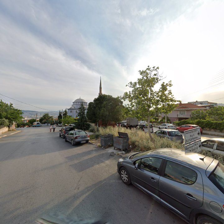 Fotoğraf 8