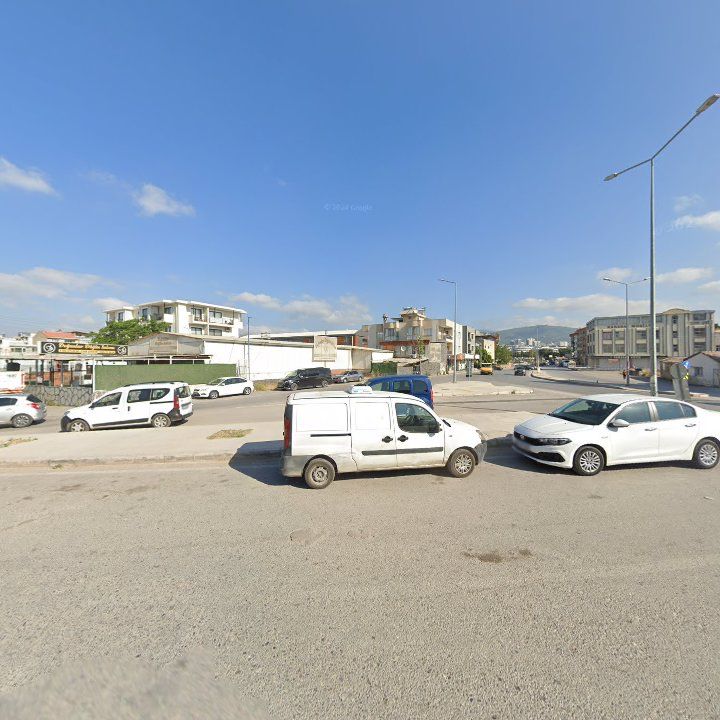 Fotoğraf 11