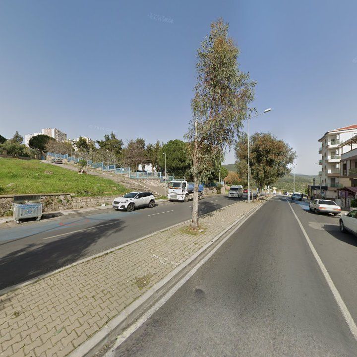 Fotoğraf 10