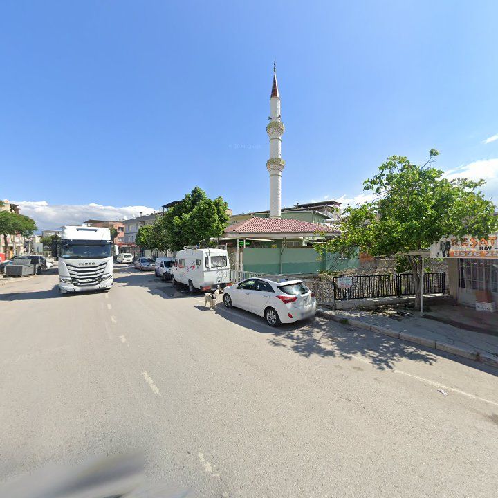 Fotoğraf 5