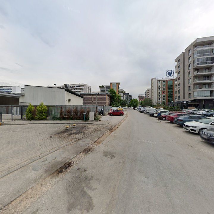 Fotoğraf 7