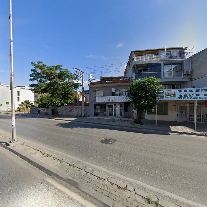 Fotoğraf 11