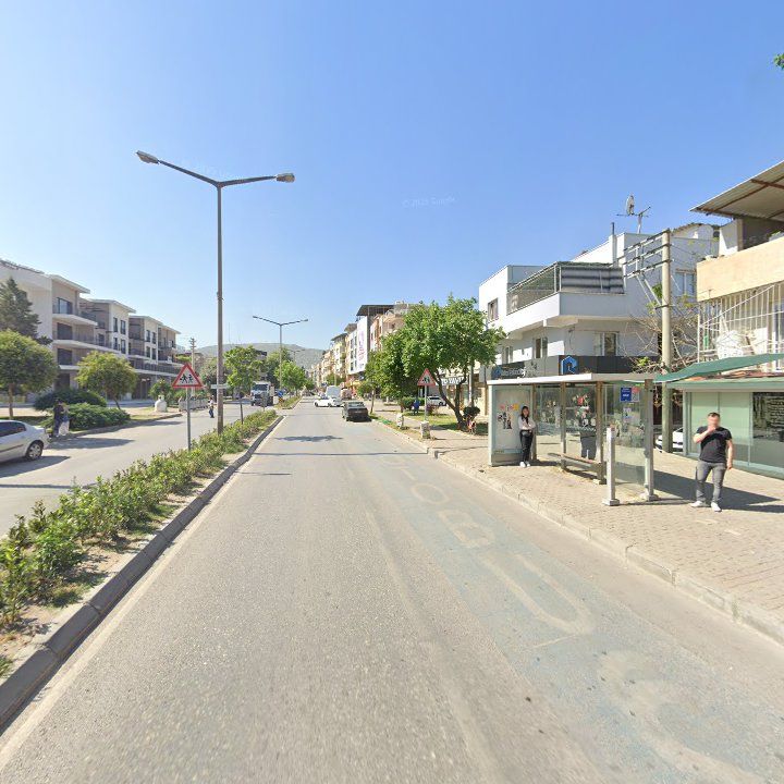 Fotoğraf 3