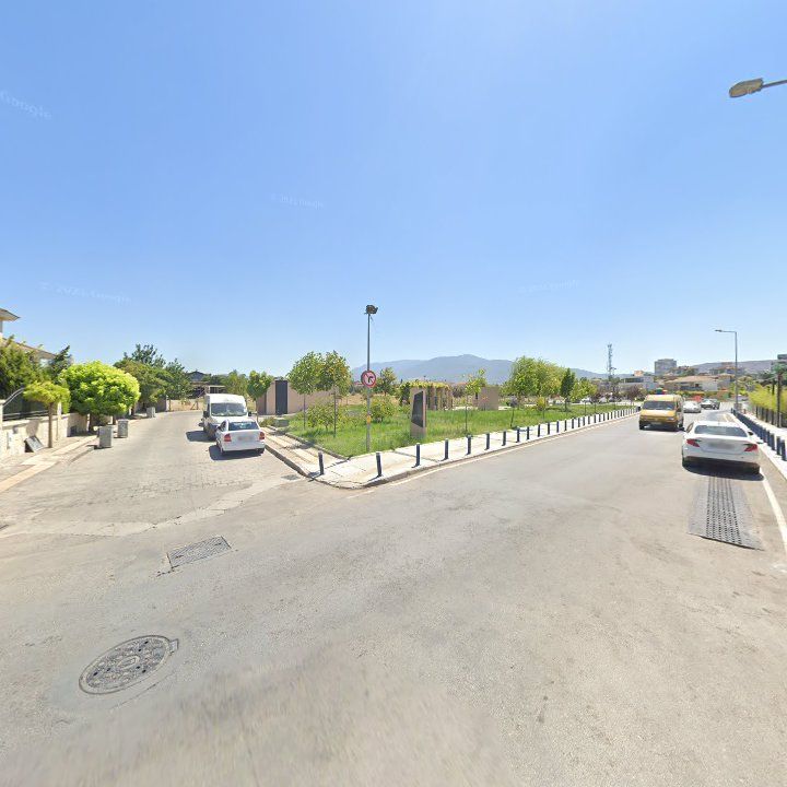 Fotoğraf 8