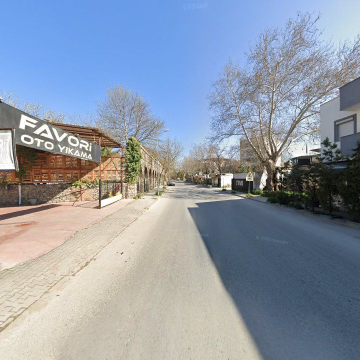 Fotoğraf 10