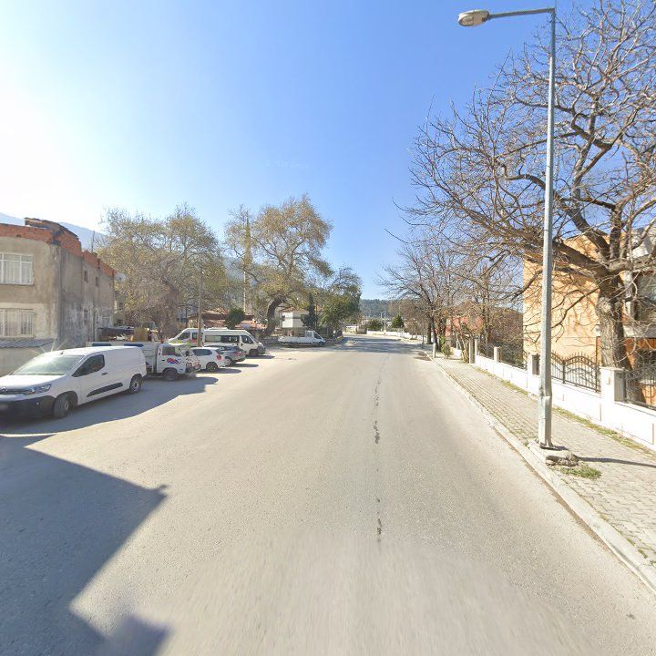 Fotoğraf 8