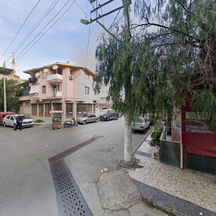 Fotoğraf 8