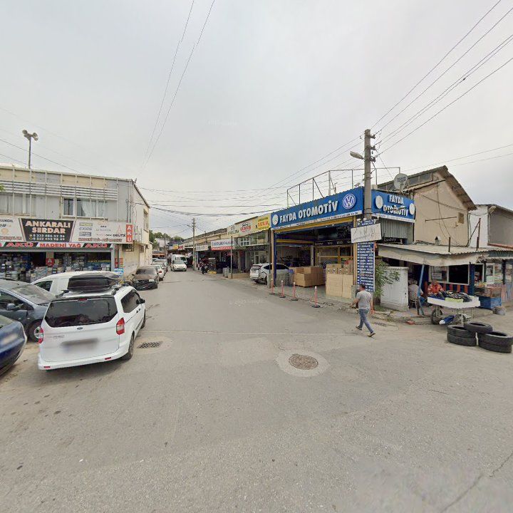 Fotoğraf 5