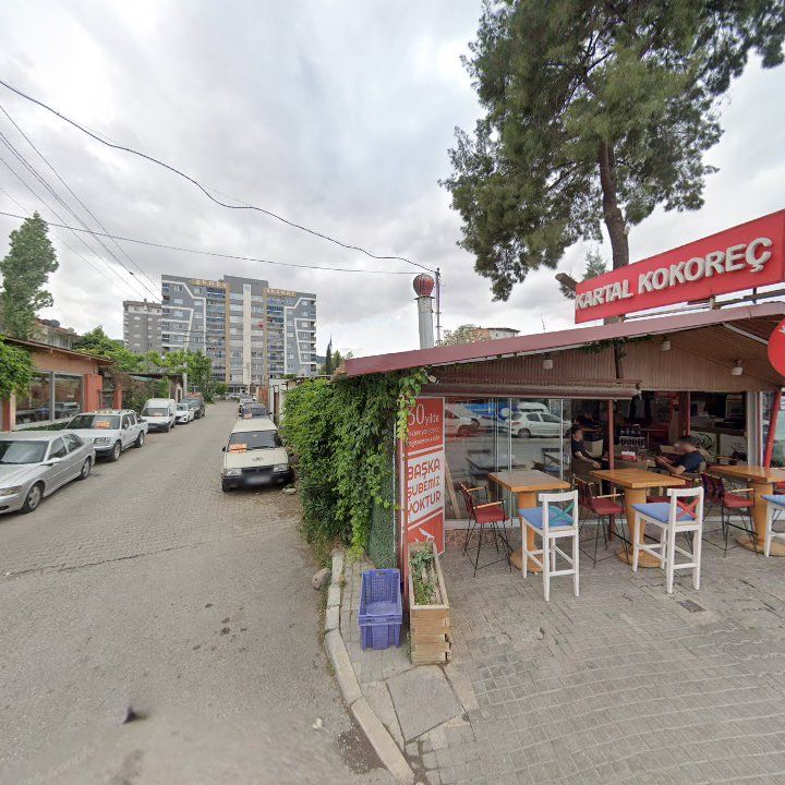 Fotoğraf 9