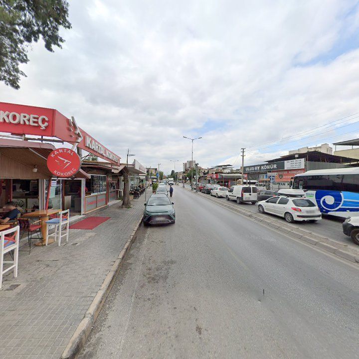 Fotoğraf 10